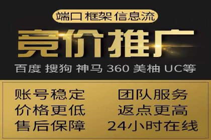 搜索引擎营销（SEM）公司某某的客户成功故事