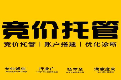 竞价广告的投放时机与频次选择——基于案例的探讨